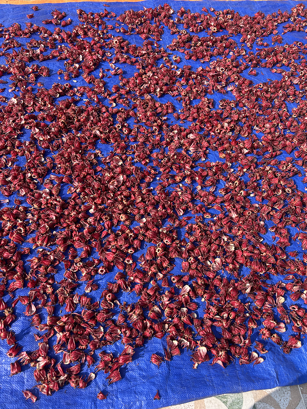 Sun-dried rosella preserving deep colour