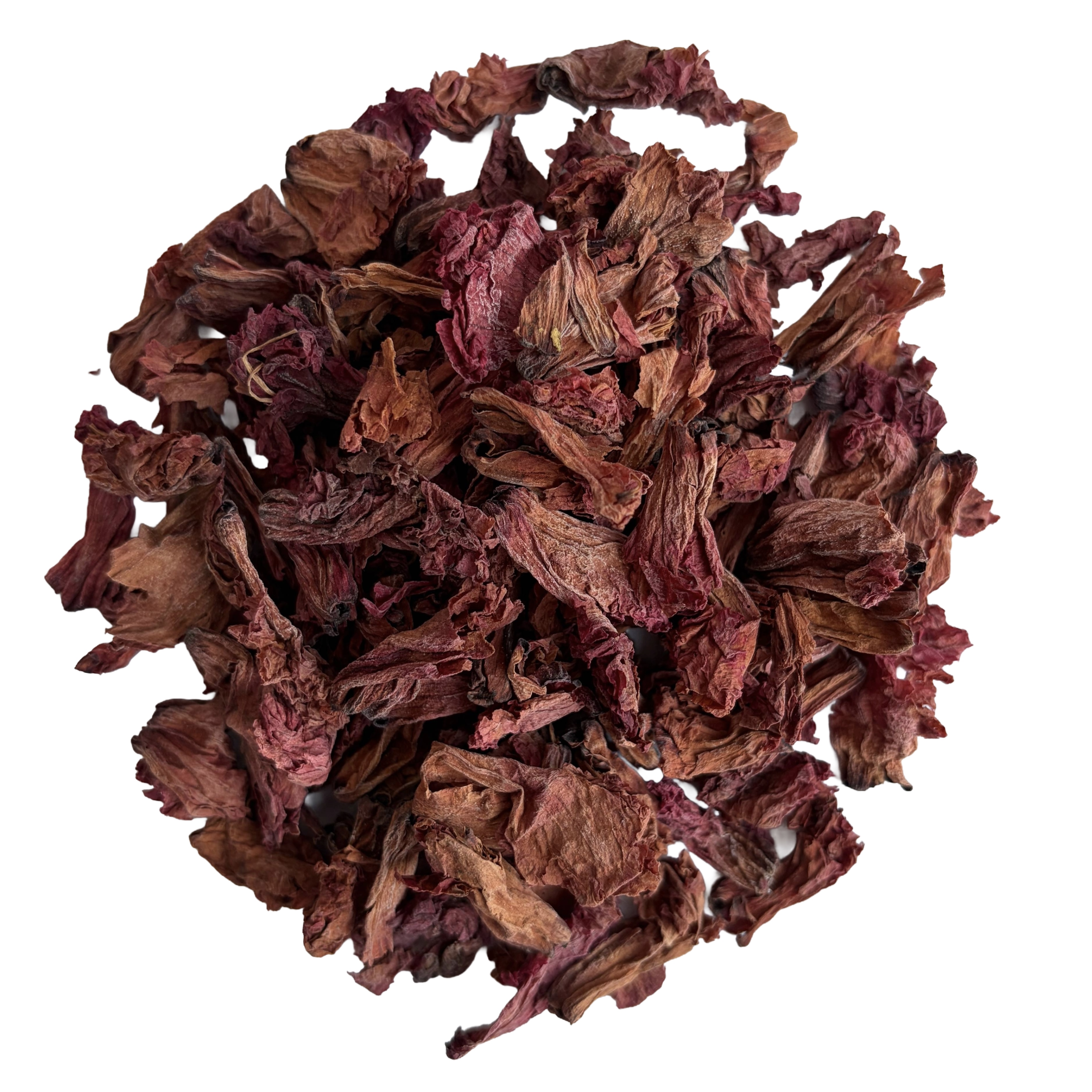 Rhododendron tea macro