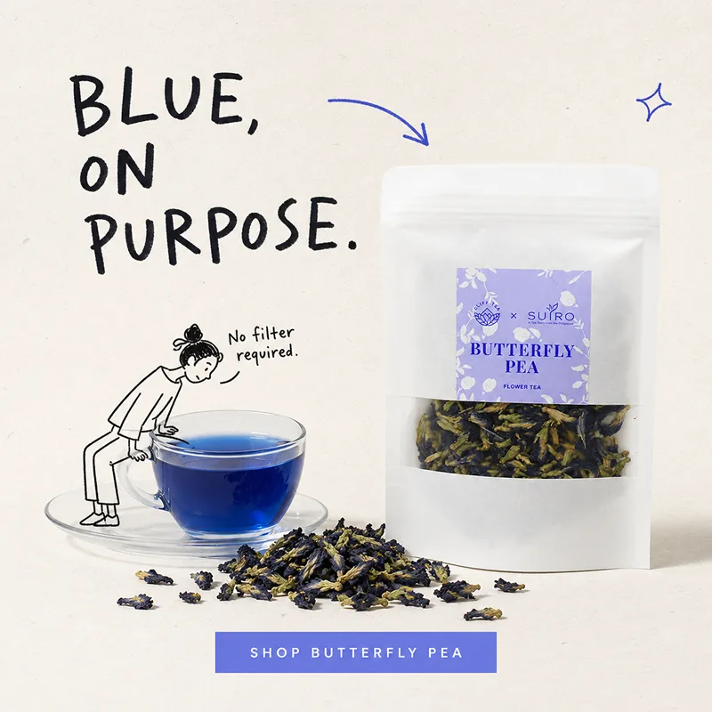 Dried butterfly pea flowers and the deep blue infusion they brew