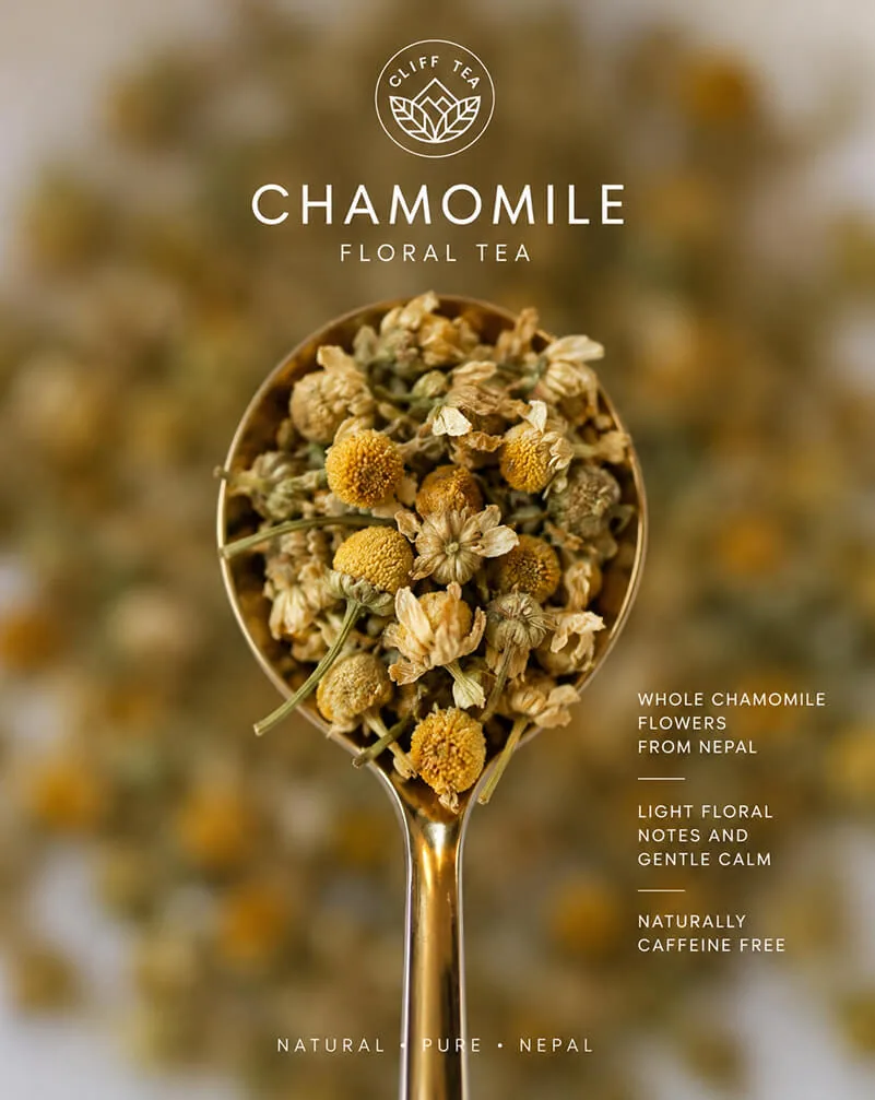 Whole dried chamomile flowers beside a cup of golden chamomile tea