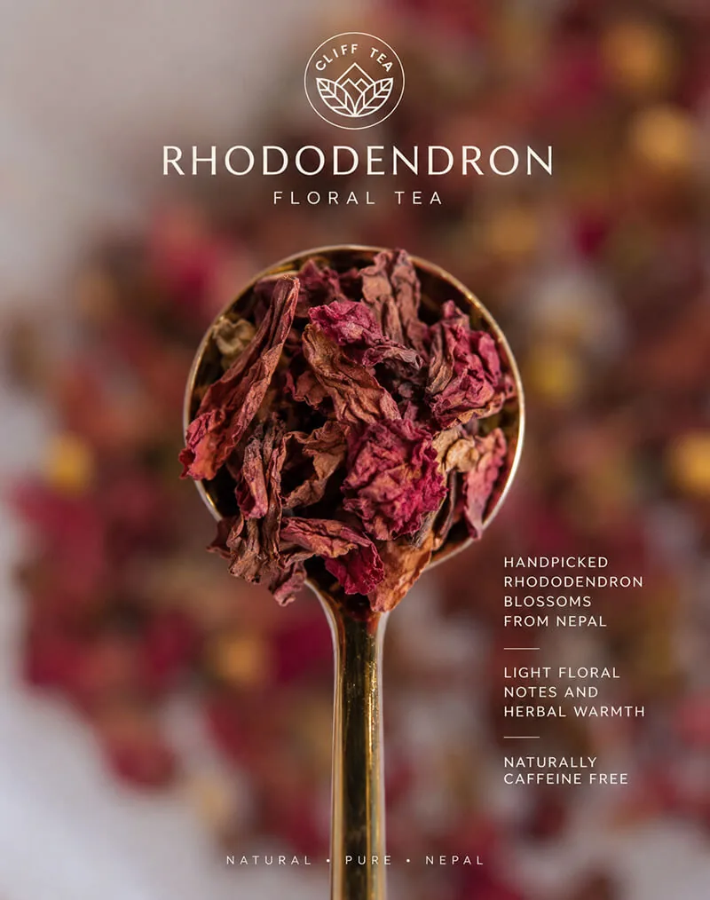 Dried rhododendron petals for rhododendron tea