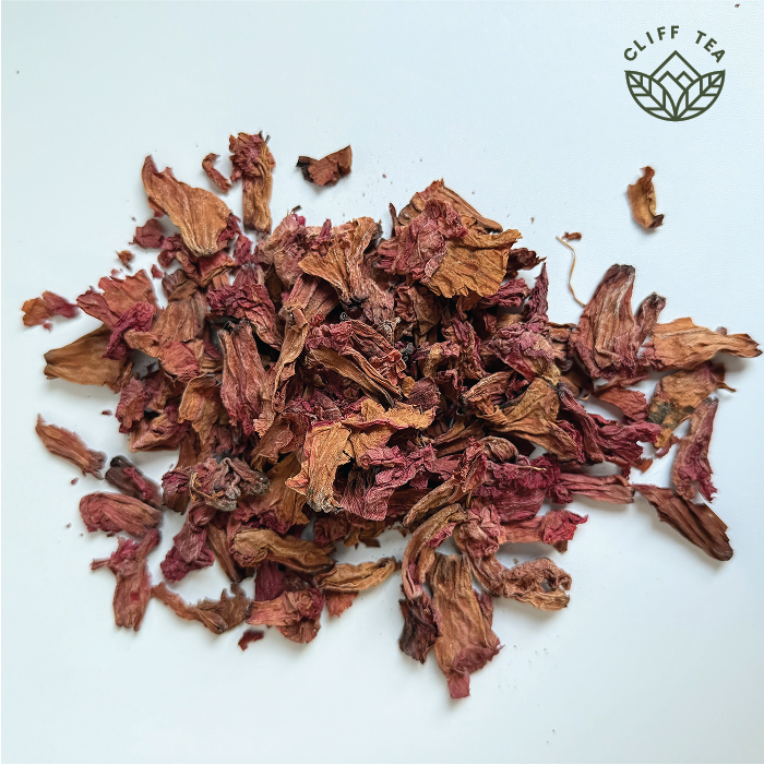 Rhododendron flowers growing in mountain landscape