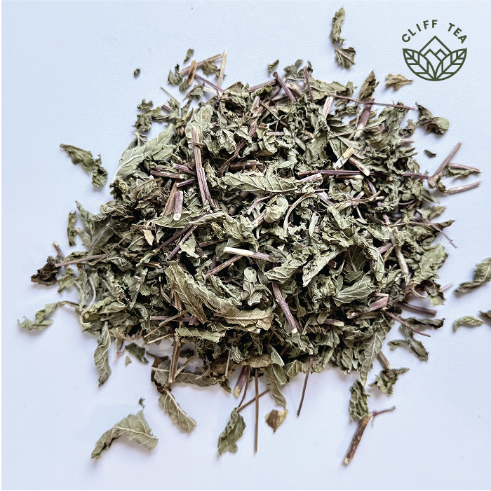 Fresh spearmint leaves in a clear glass cup